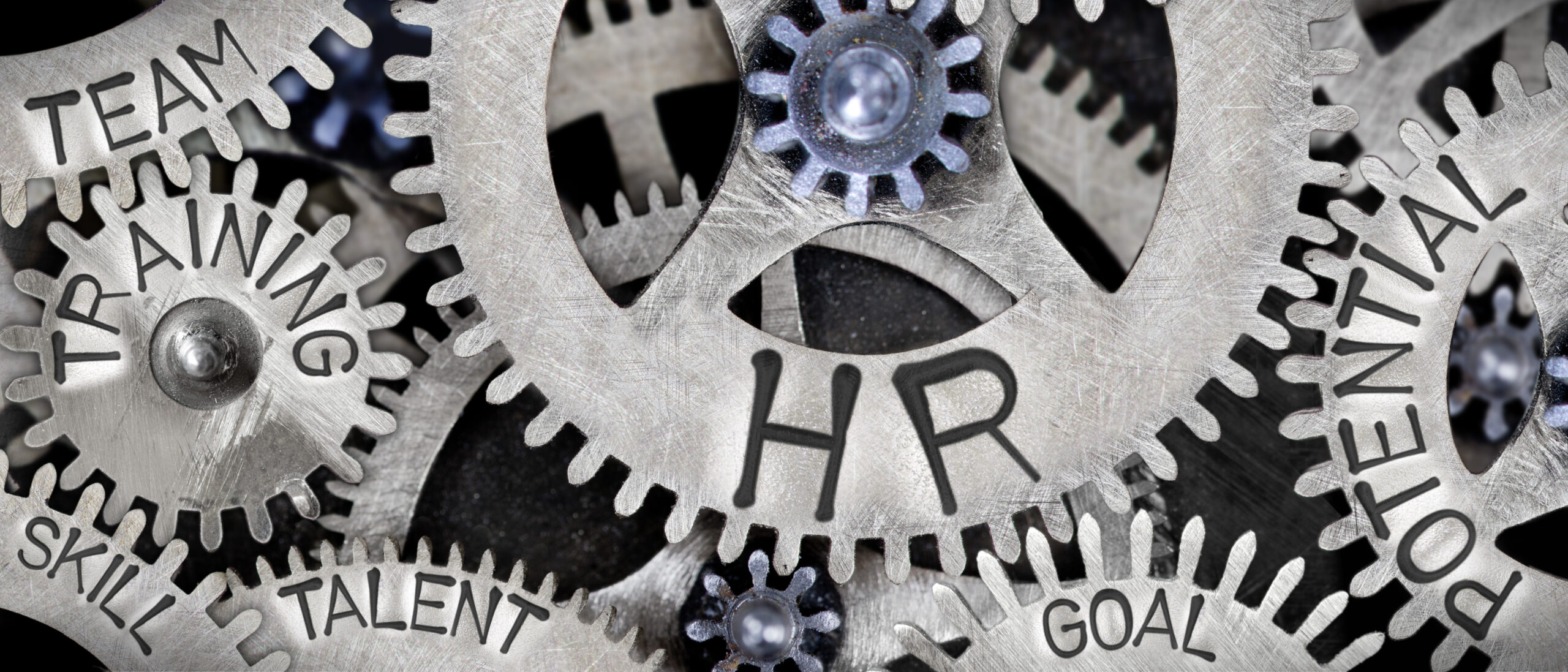 Macro photo of tooth wheel mechanism with HUMAN RESOURCES concept related words imprinted on metal surface